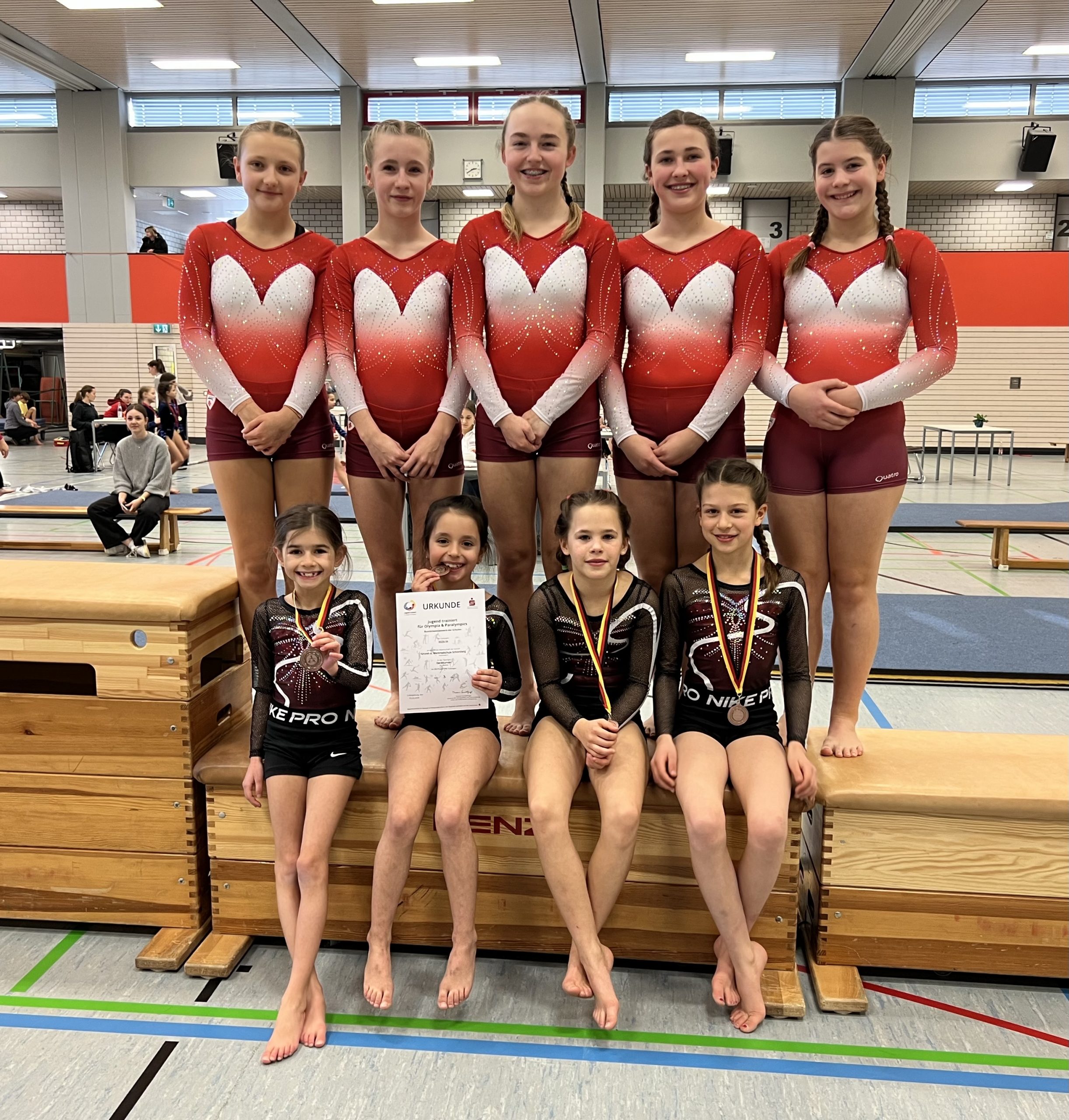 Mehr über den Artikel erfahren Schömberger Turnerinnen ziehen mit Glanzleistung ins Landesfinale